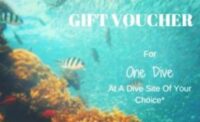 gift scuba diving voucher